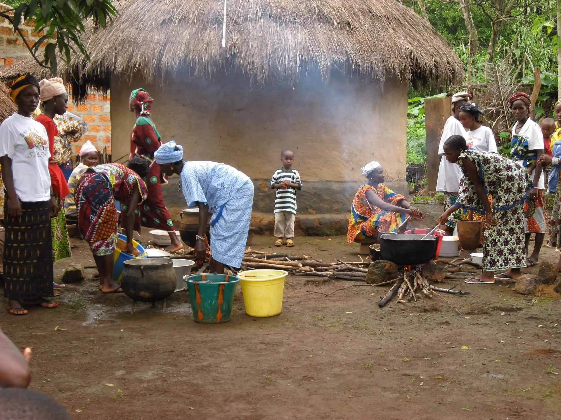 Guinea Village Life