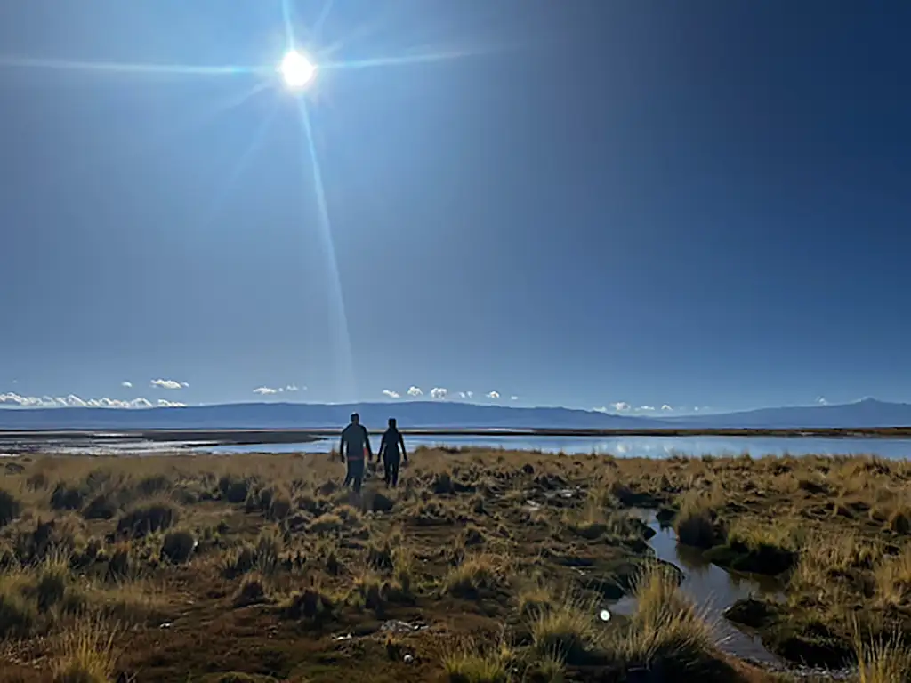 Due Diligence Argentina